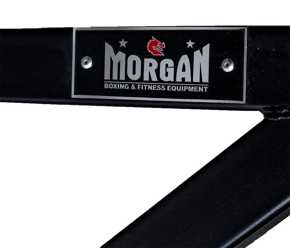 Morgan Cross Functional Fitness Pull up Rack